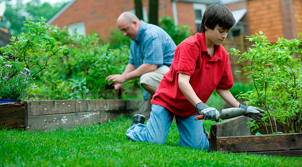Padre e hijo plantando en el jardín