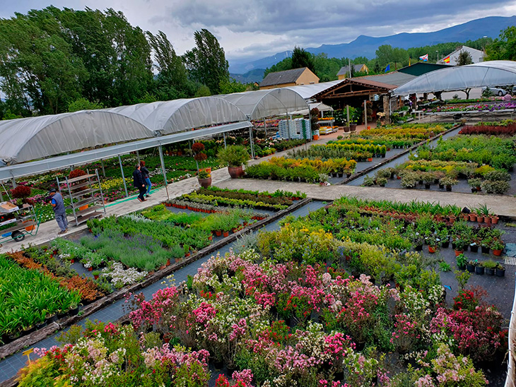 Vivero en vista de pájaro